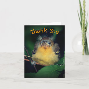 Remerciements Bébé mignon Oriole Bird Nature Carte de remercieme