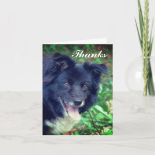 Remerciements Bordure Collie souriant mignon Carte de remercieme