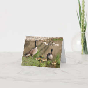 Remerciements Canada Goose 2 Family Nature Carte de remerciement