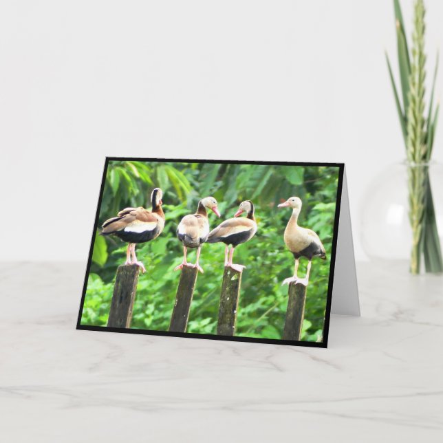 Remerciements Canards dans une carte de voeux pliée en rangée (Devant)