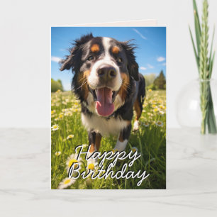 Remerciements Carte d'Anniversaire du chien de montagne bernois