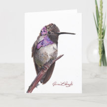 Carte de billet Colibri