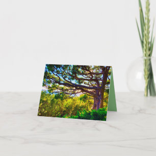 Remerciements Carte de la Cachette de l'Arbre