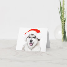 CARTE DE NOËL CHIOT HUSKY AVEC UN CHAPEAU DE PÈRE 