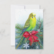 Carte de Noël Parakeet Christmas Bow