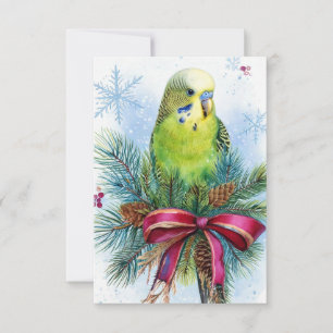 Remerciements Carte de Noël Parakeet Ribbon de Noël