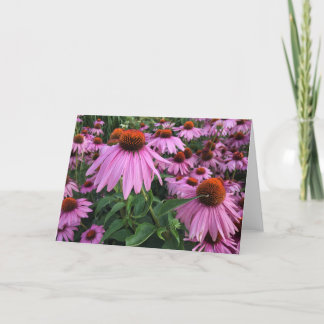Remerciements Carte de note blanche Echinacea
