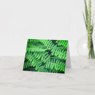 Remerciements Carte de note blanche Green Ferns Nature
