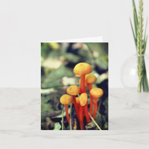 Remerciements Carte de note blanche pour les champignons orange