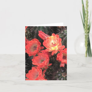 Remerciements Carte de note Cactus Sunset Coral Blossoms