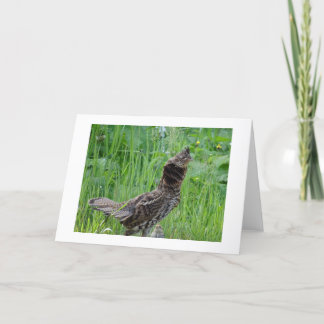 Remerciements Carte de note climatique Nature