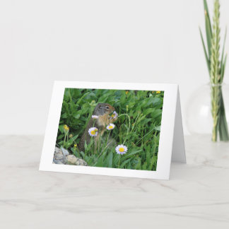 Remerciements Carte de note climatique Nature