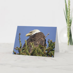 Remerciements Carte de note climatique Nature