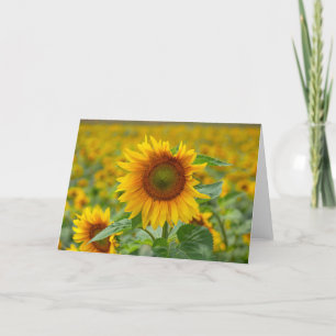 Remerciements Carte de note en blanc de tournesol