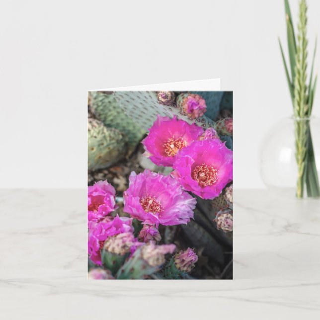 Remerciements Carte de note Fuchsia Cactus Flowers (Devant)