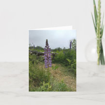 Carte de note indépendante Purple Lupine