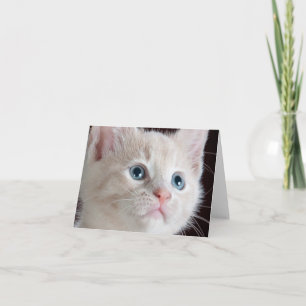 Remerciements Carte de note Kitten