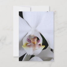 Carte de remerciement fleur d'orchidée blanche