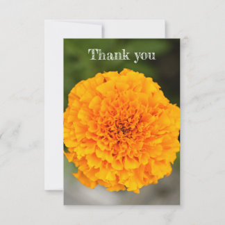 Remerciements Carte de remerciement Marigold Flat