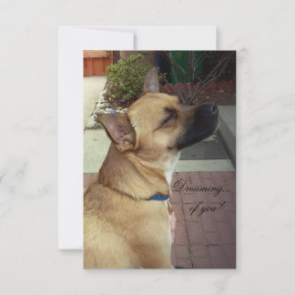 Remerciements Carte de remerciement plate 3,5" x 5" Chiens de sa