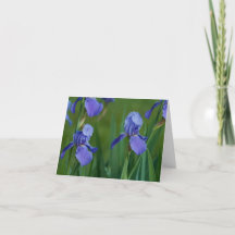 Carte de remerciement pliée Iris barbu violet