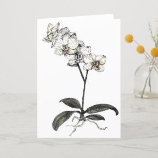 Remerciements Carte de remerciements_Pure Moon Orchid