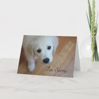 Remerciements Carte de sympathie, je suis désolé pour…