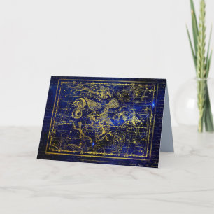 Remerciements carte de voeux delphinus constellation