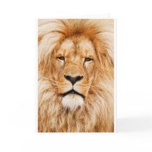 Carte de voeux Lion
