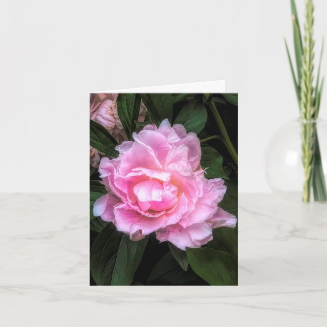 Remerciements Carte de vœux Pivoine @ Stenton House Museum & Gar (Devant)