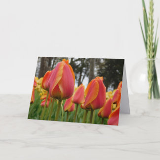 Remerciements Carte de vœux pliée de photographie d'art fin de T