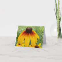 Carte de vœux pliée Sunset Daisy Fine Art Photogra