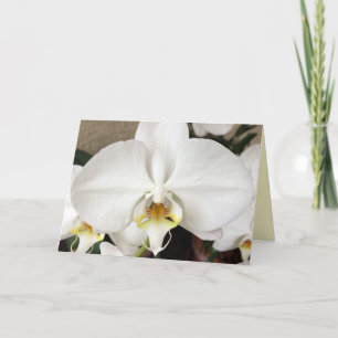 Remerciements Carte de voeux pour orchidée blanche
