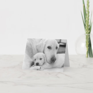 Remerciements Carte de voeux vierge