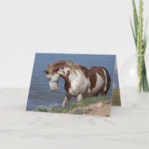 Remerciements Carte de voeux Wild Horse - Teton's Challenge