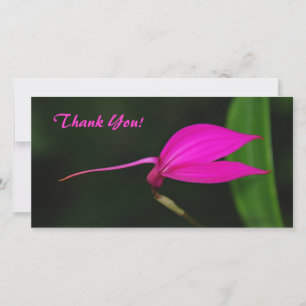 Remerciements Carte photo de remerciement