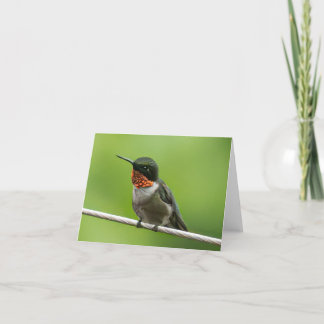 Remerciements Carte pour notes de colibri