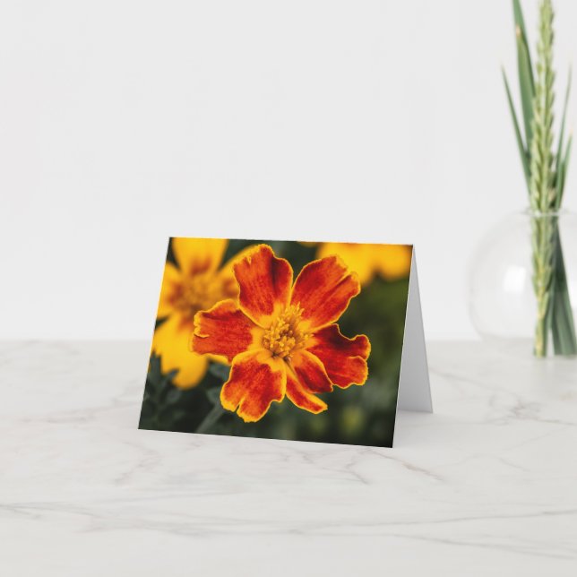 Remerciements Carte pour notes vierge de fleurs (Devant)