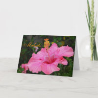 Carte rose de ketmie d'Hawaï
