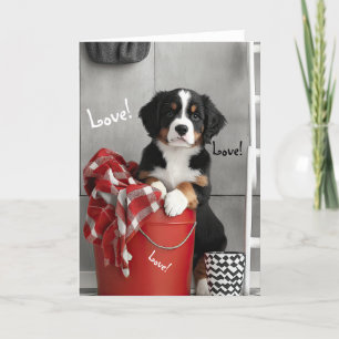 Remerciements Carte Valentine Chien de Montagne Bernese