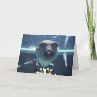 Remerciements Cette carte de poisson à bec