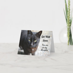 Remerciements Chat Noir Plier Se Bien Bientôt Carte De Voeux