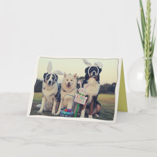 Remerciements Chiens amusants Bonne carte de Pâques (Devant)