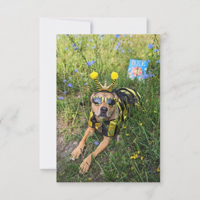 Remerciements Livre de costume d'abeille Funny Chien Carte photo (Devant)