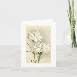 Remerciements Oeillet blanc pensant à vous/à carte de