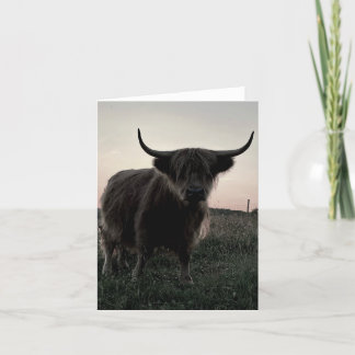 Remerciements Petite carte blanche pliée de vache Highland de 4 