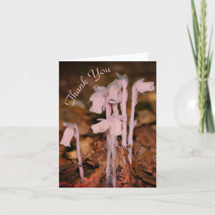 Remerciements Pink Indian Pipe Fleur sauvage Nature Carte de rem