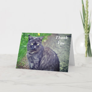 Remerciements Poing de chat en position assise Carte de remercie