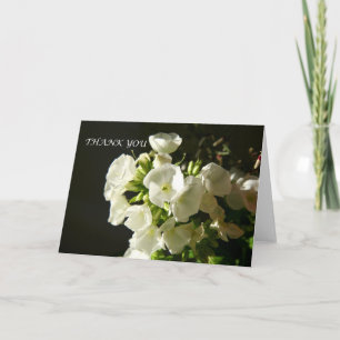 Remerciements Une carte de Garden Phlox pour un remerciement élé