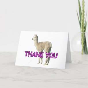 Remerciements Une carte de "Merci" alpaga